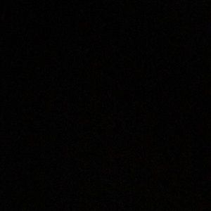 Meet your Posher, Frank